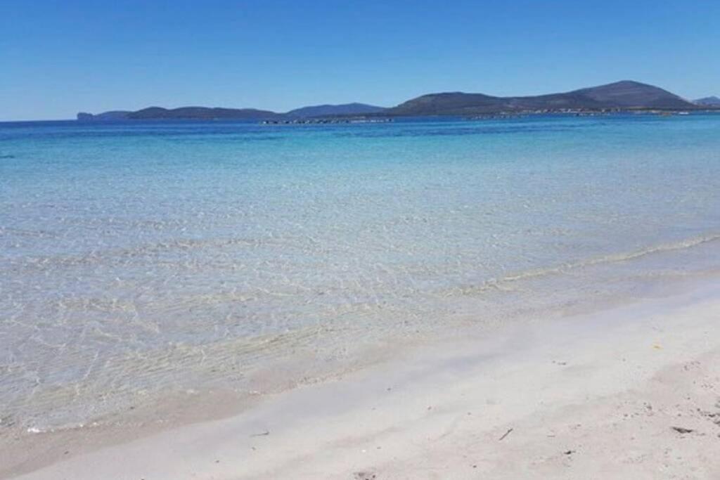 Apartment Sun & Sea - Spiaggia A 50 Metri Alghero